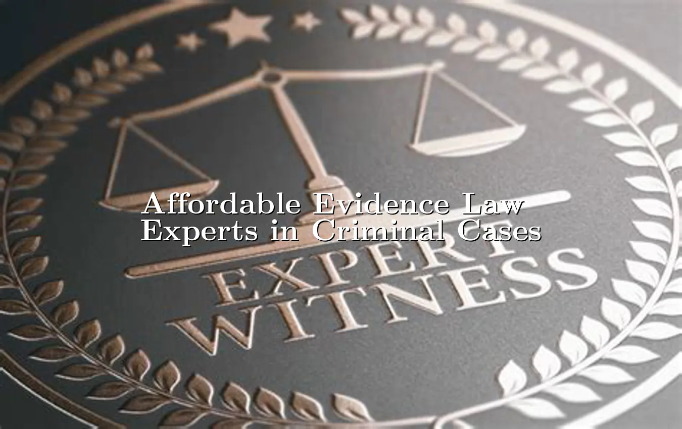 affordable-evidence-law-experts-in-criminal-cases.webp
