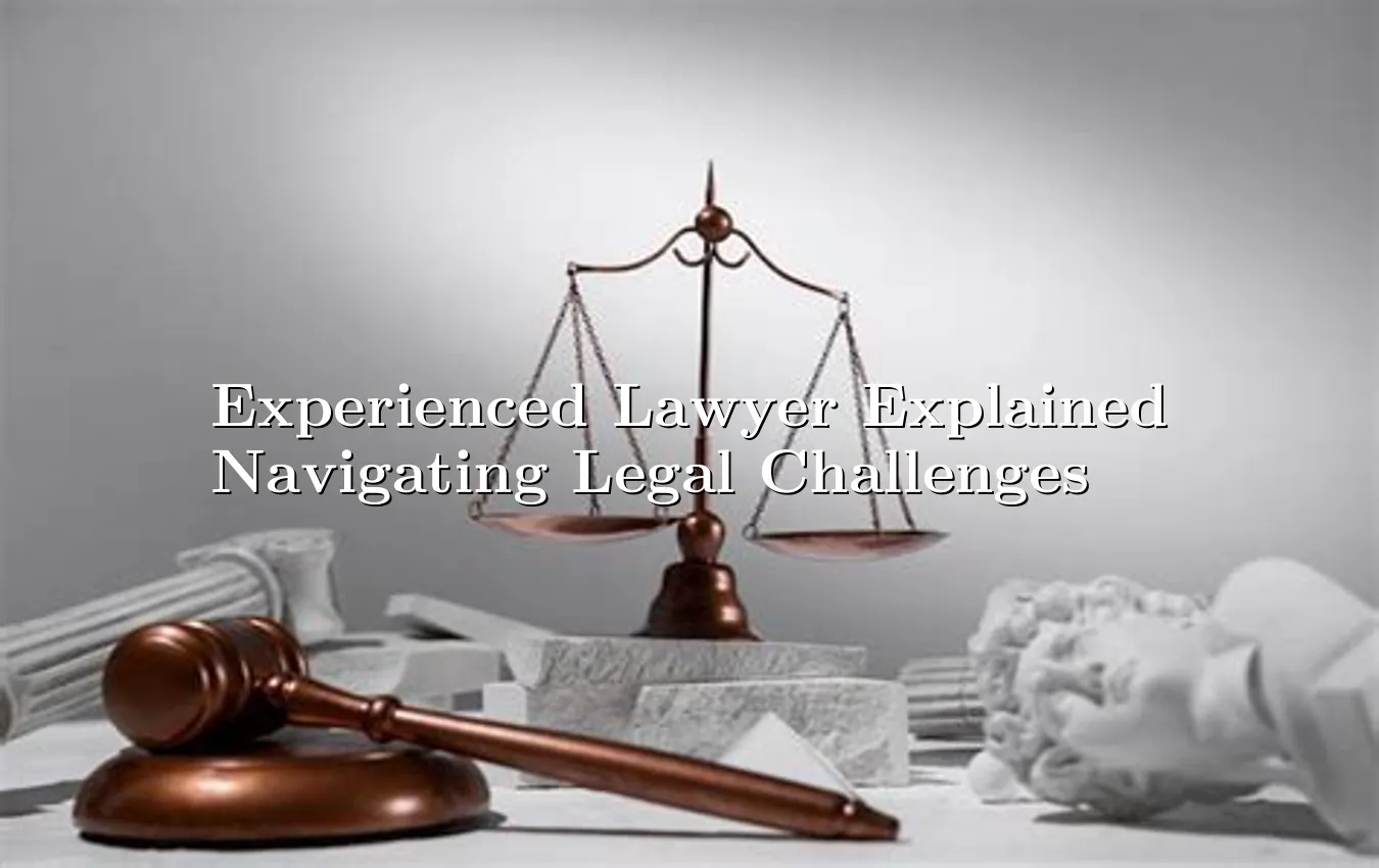 Experienced Lawyer Explained Navigating Legal Challenges experienced lawyer explained
