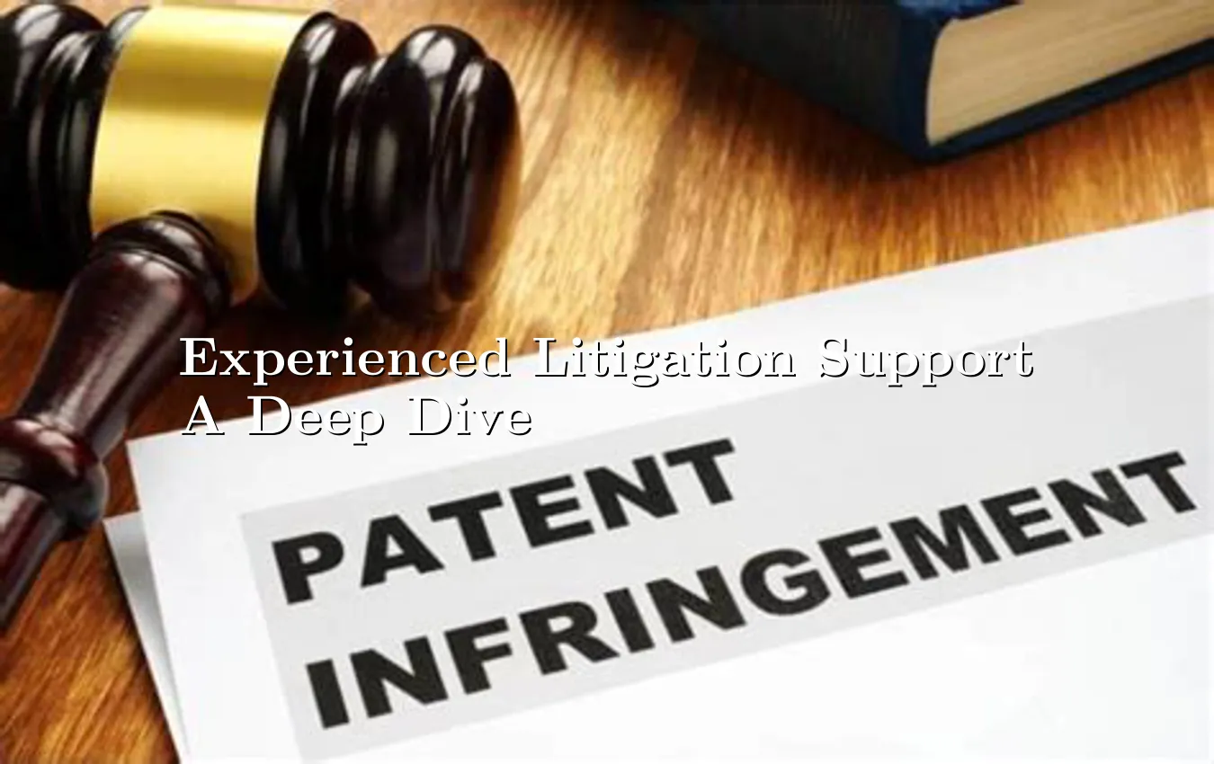 experienced-litigation-support-a-deep-dive.webp