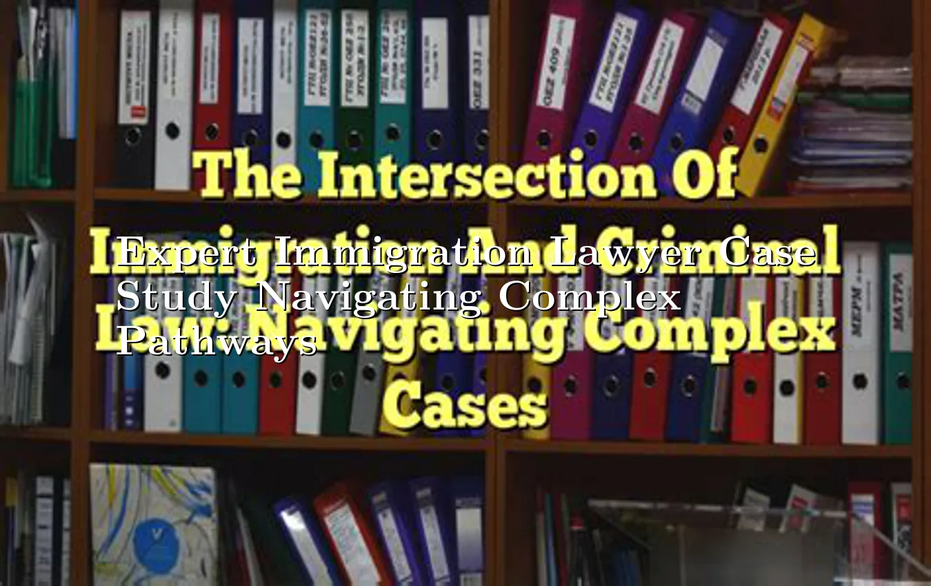 expert-immigration-lawyer-case-study-navigating-complex-pathways.webp