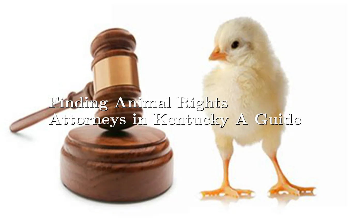 finding-animal-rights-attorneys-in-kentucky-a-guide.webp