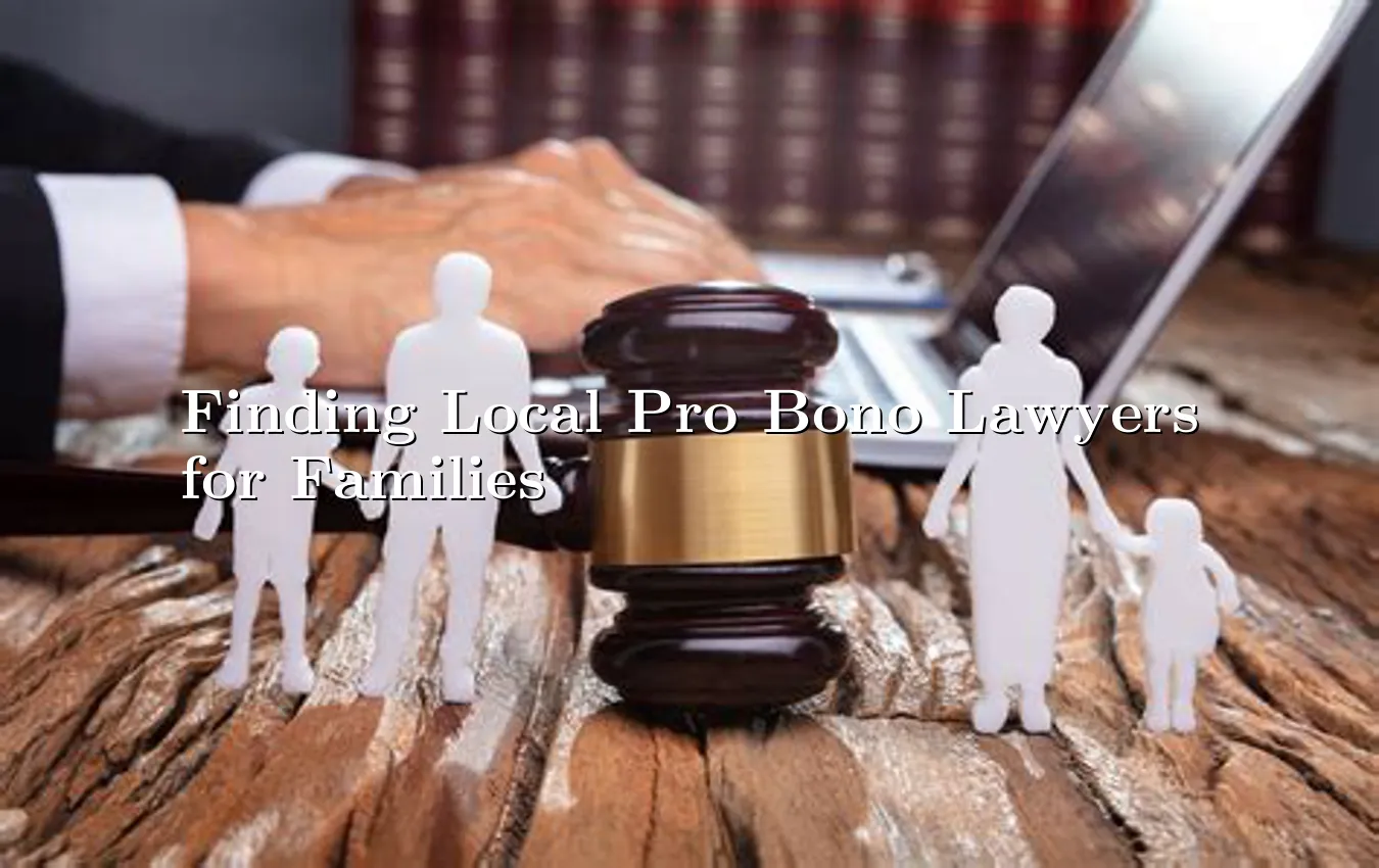 finding-local-pro-bono-lawyers-for-families.webp