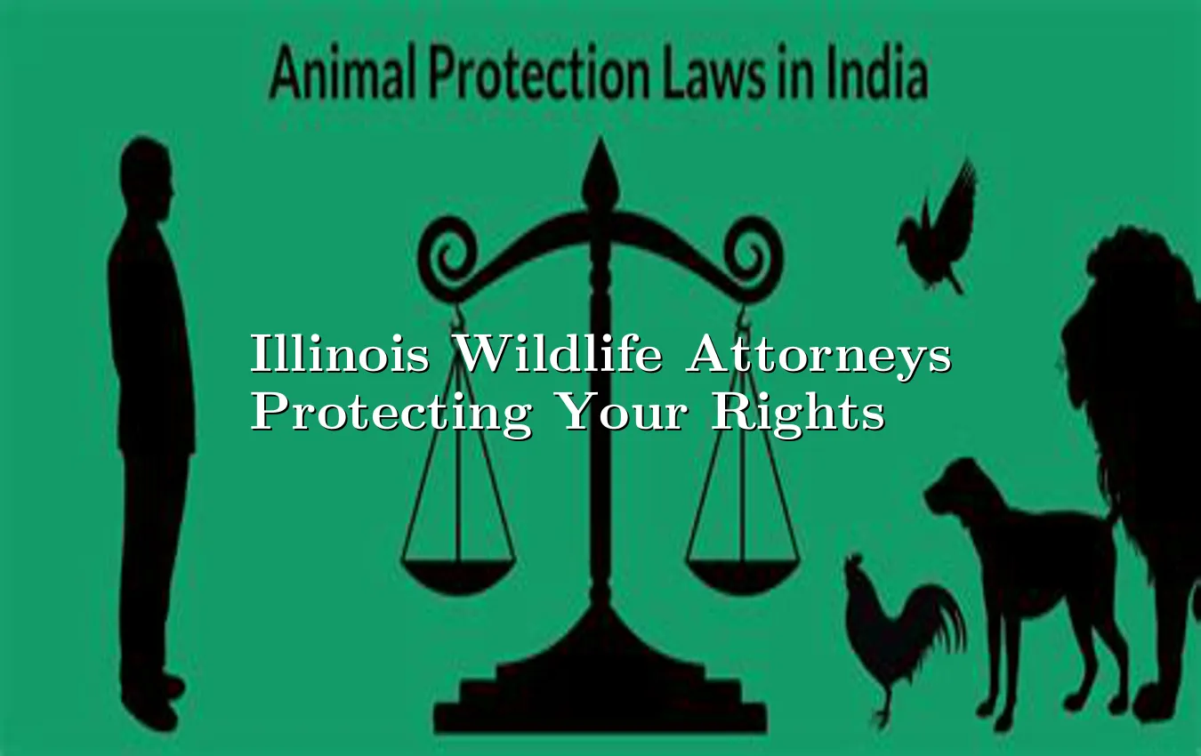 illinois-wildlife-attorneys-protecting-your-rights.webp